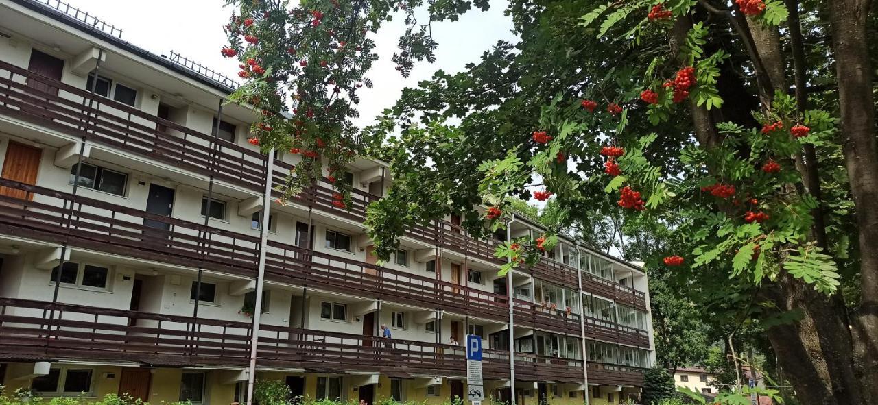 Retrospekcja - Apartament W Centrum 扎科帕内 外观 照片